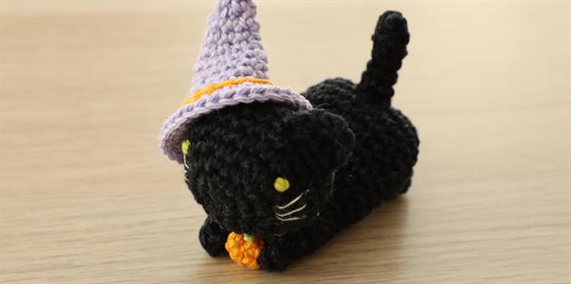 Halloween Witch Cat